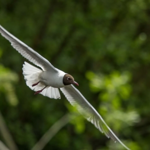 Untitled (97 Of 98).jpg